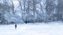 Bright Star (2009) Bright Star (2009)