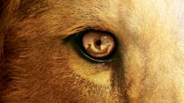 View: The Chronicles of Narnia: The Voyage of the Dawn Treader (2011)