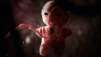 Zero (2009)