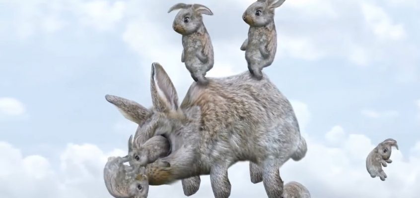 The Weirdest Animal Animations Ever